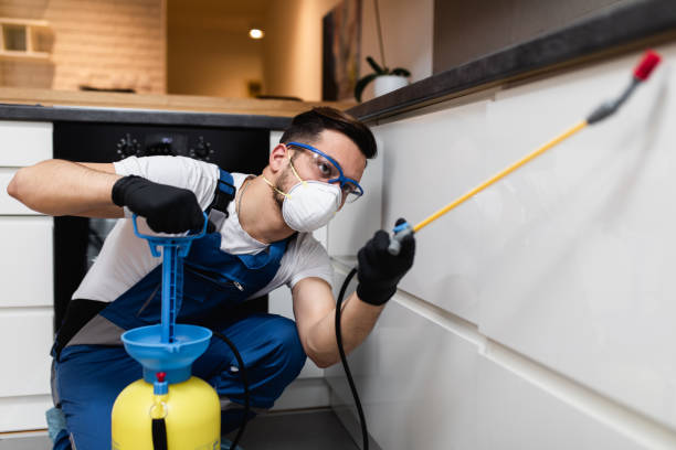 Best Commercial Pest Control Services  in Albert Lea, MN