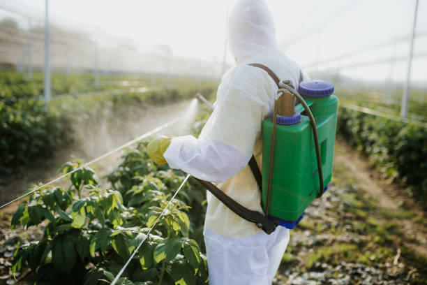 Best Residential Pest Control  in Albert Lea, MN